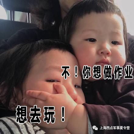 当作业遇上上海西点军事夏令营