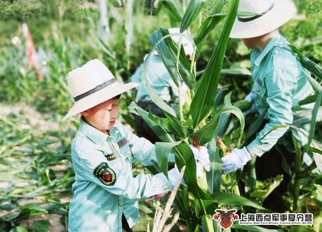 上海西点军事夏令营乡村体验营第一期活动现场