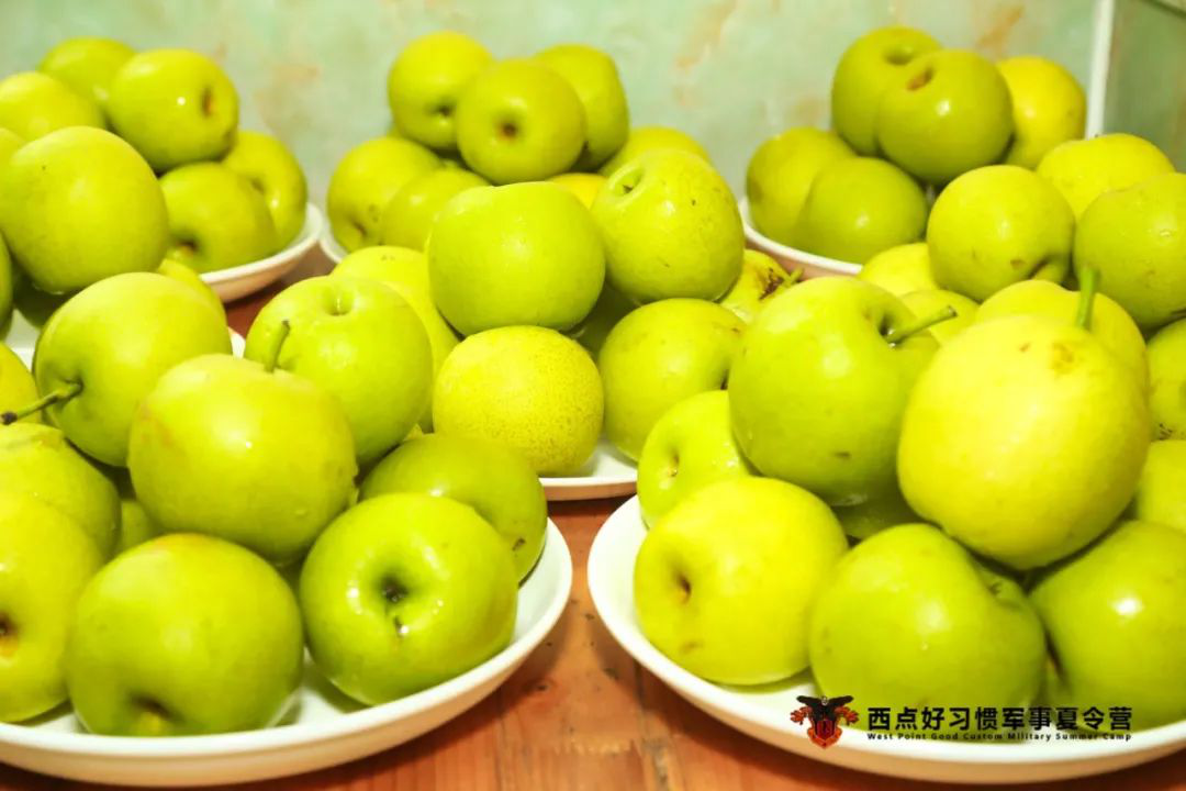 不来看看孩子们夏令营的精彩照片吗？,上海西点军事夏令营