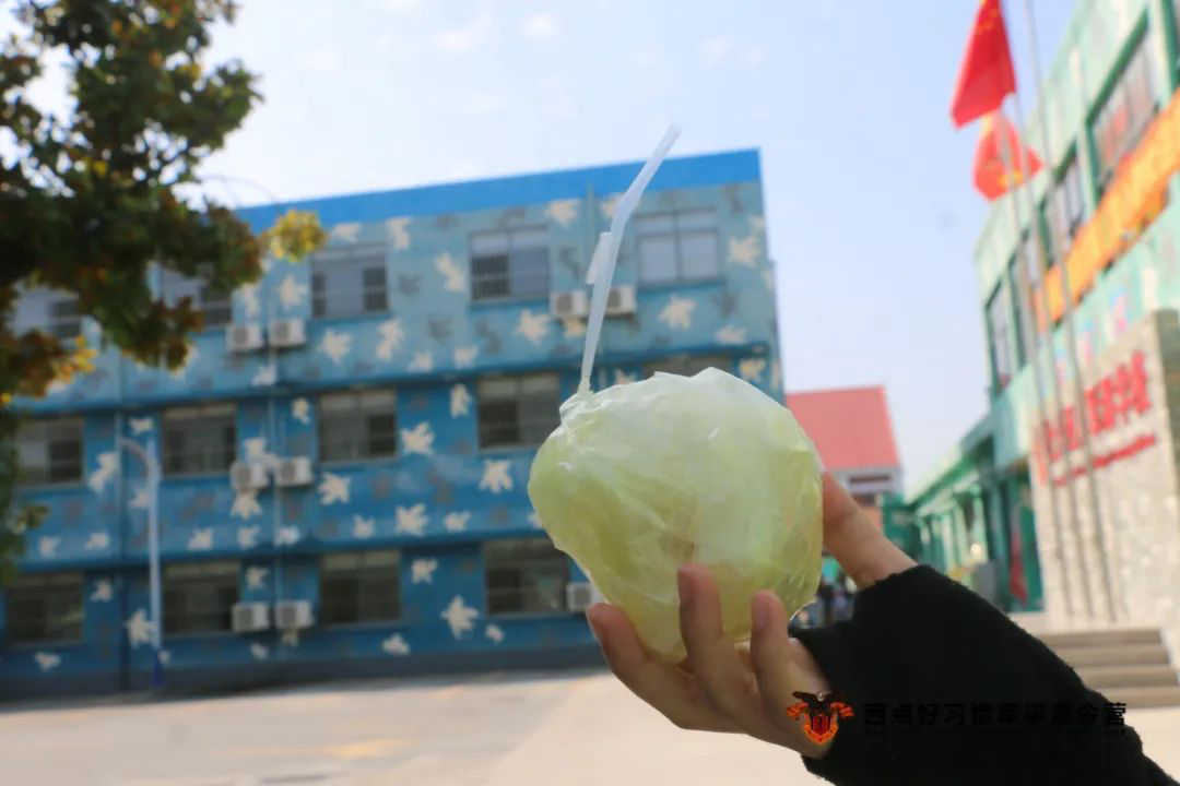 绿茵草地上，那些满载好习惯的追风小战士