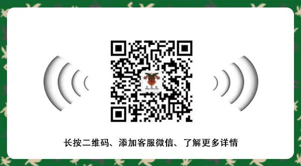 今日风采，“西点小战士”正式扬帆起航！
