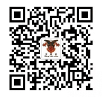 成功入营了？西点送您定制的写真照！