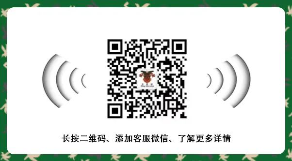2021西点好习惯军事夏令营