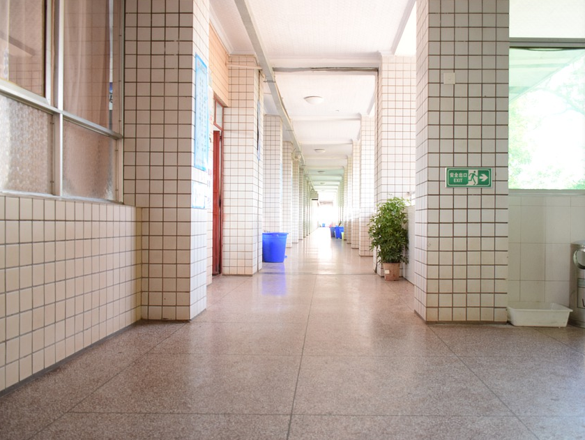 给新高一学生的20条忠告！