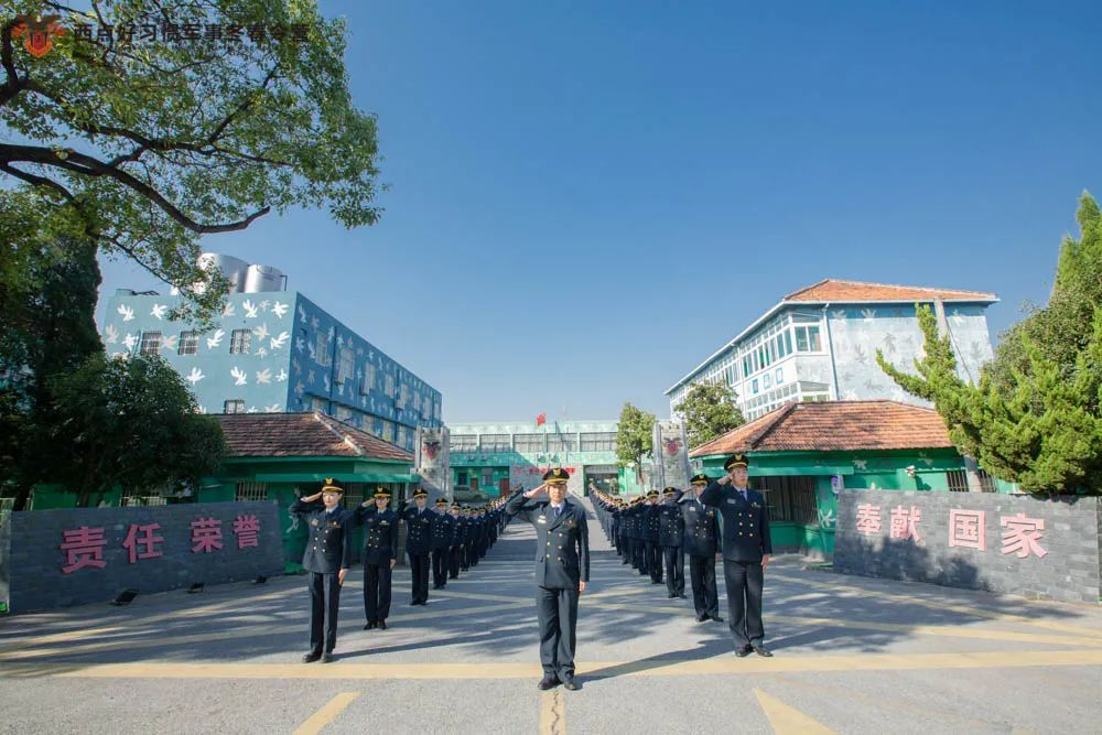 新版块、新体验、新效果…,上海夏令营