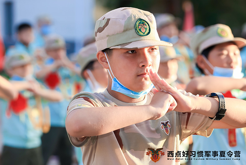 龙拳