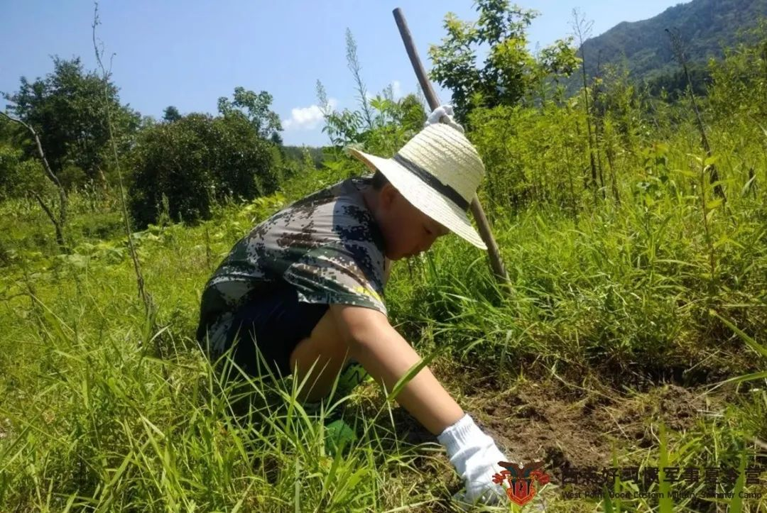 国庆“变形记”变什么？,国庆营,变形记