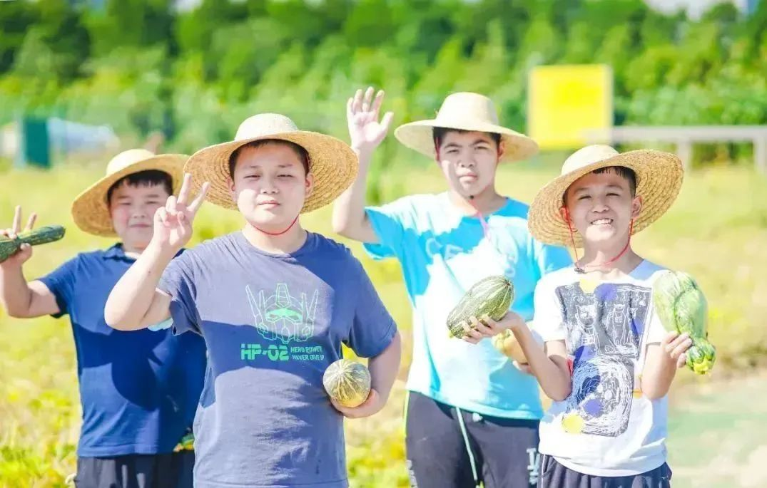 西点一日春耕营，感受大地之美，田野之趣！,上海西点好习惯军事夏令营,夏令营