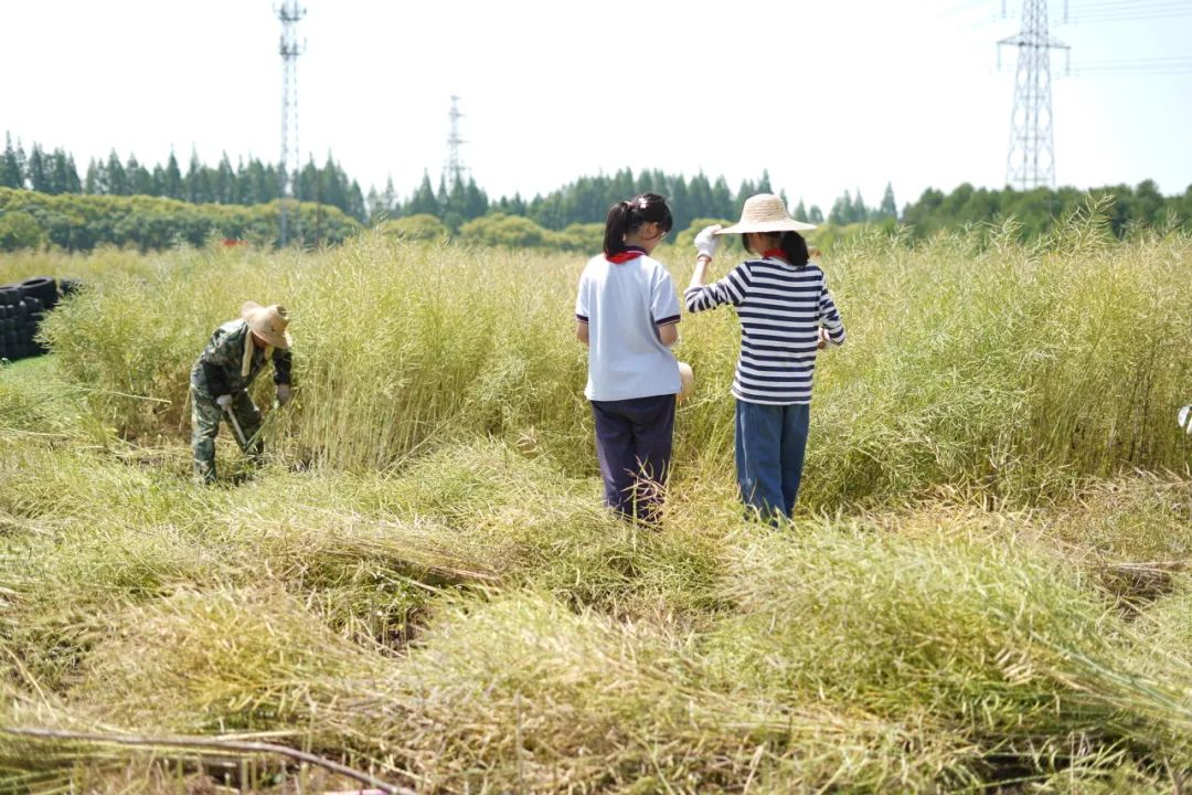你知道吗？自然缺失症也是一种病！,国庆去哪？.户外好地点