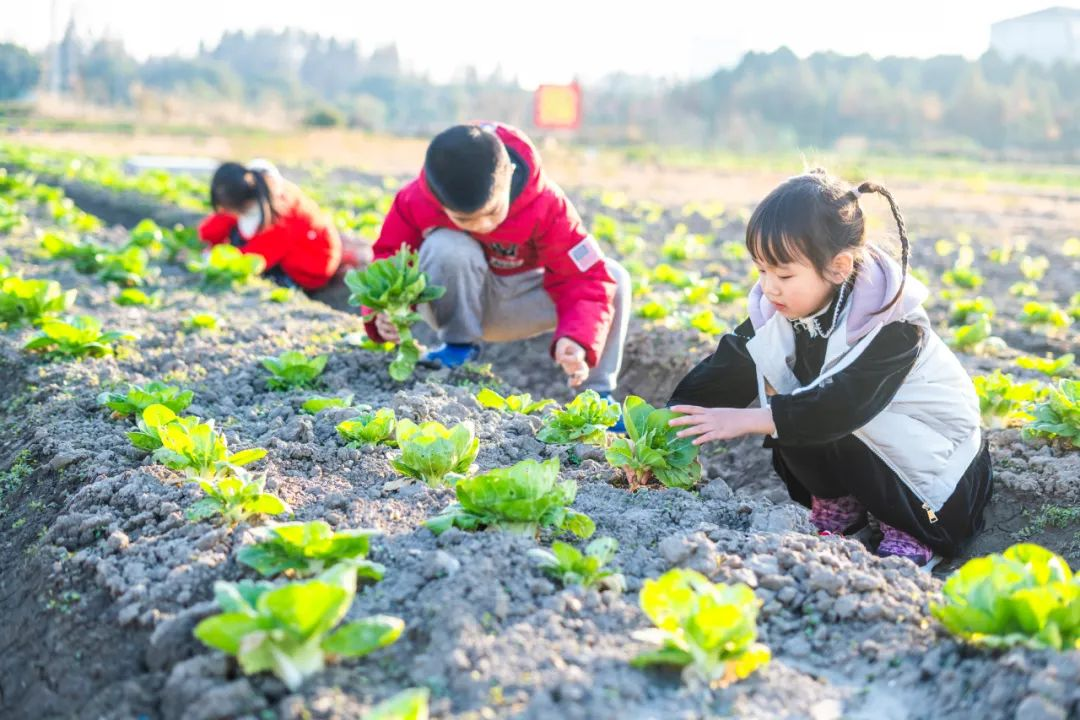 “冬至大如年”，给孩子这样讲讲冬至吧,冬至